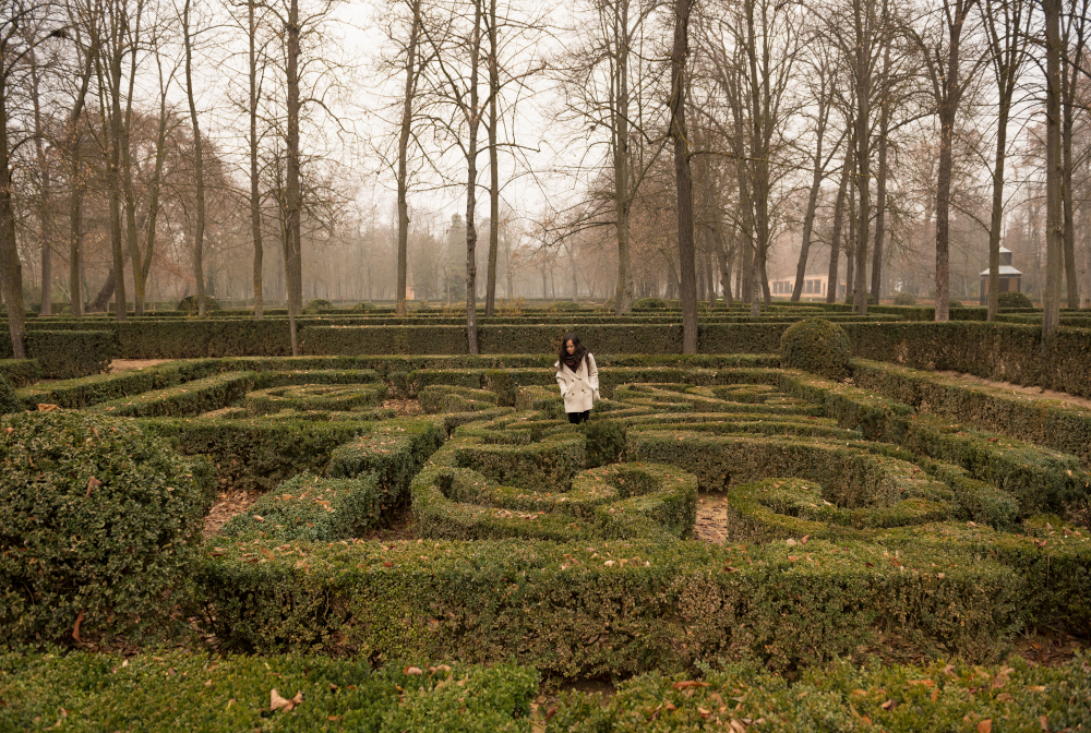 Asian Girl Exploring Hedge Maze