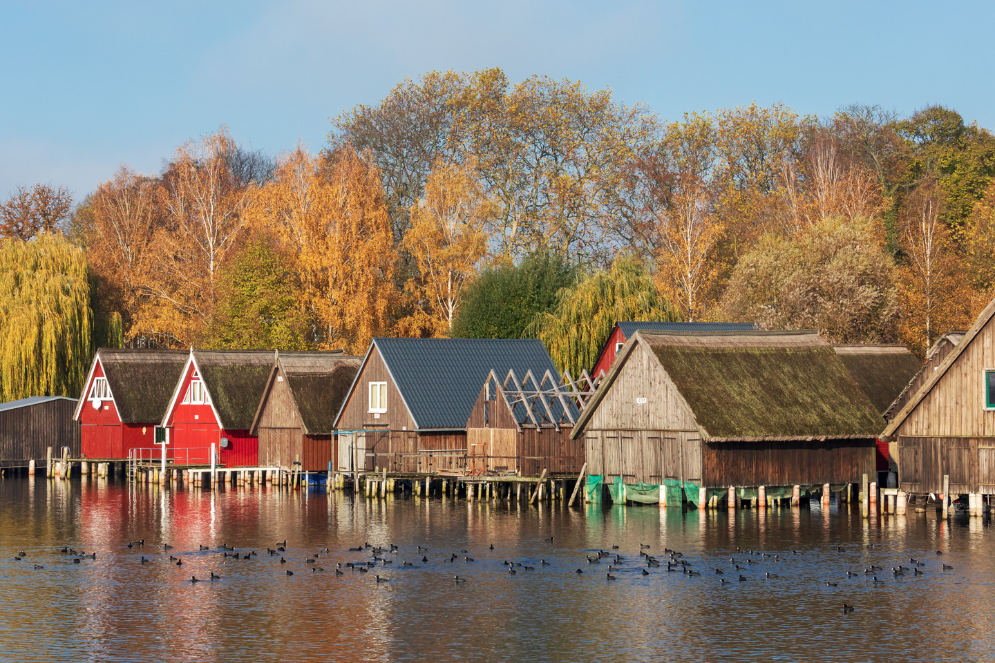 Germanys Most Beautiful Lakes Lake Muritz Shutterstock 1563828403